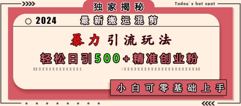 最新搬运混剪暴力引流玩法，轻松日引500+精准创业粉，小白可零基础上手-创业项目网