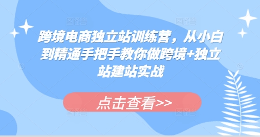 跨境电商独立站训练营，从小白到精通手把手教你做跨境+独立站建站实战-创业项目网