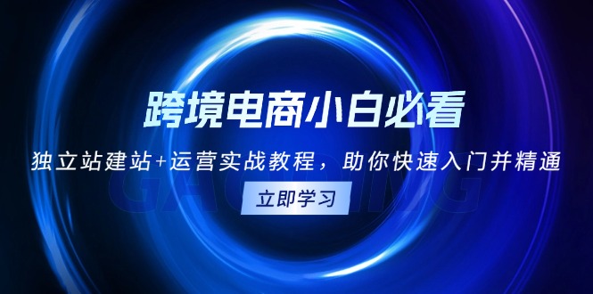 跨境电商小白必看！独立站建站+运营实战教程，助你快速入门并精通-创业项目网