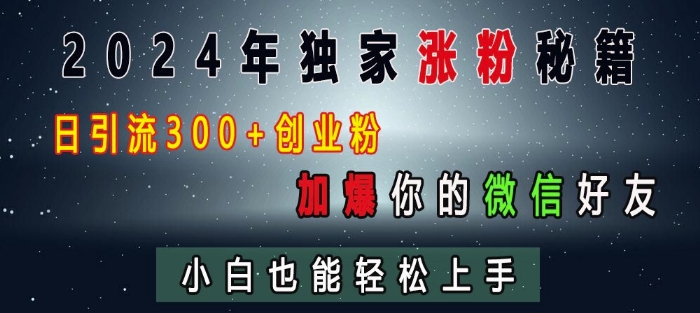 2024年独家涨粉秘籍，日引流300+创业粉，加爆你的微信好友，小白也能轻松上手-创业项目网