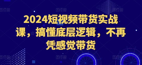 2024短视频带货实战课，搞懂底层逻辑，不再凭感觉带货-创业项目网