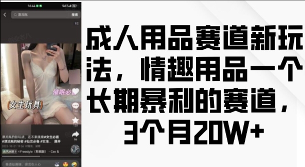 成人用品赛道新玩法，情趣用品一个长期暴利的赛道，3个月收益20个-创业项目网