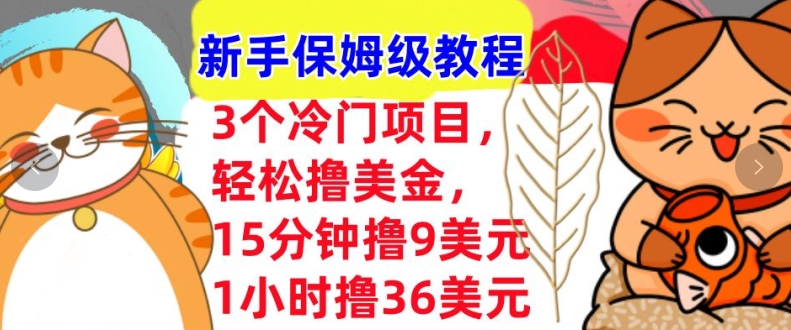 3个冷门项目，轻松撸美刀，1小时撸36刀，新手保姆级教程-创业项目网