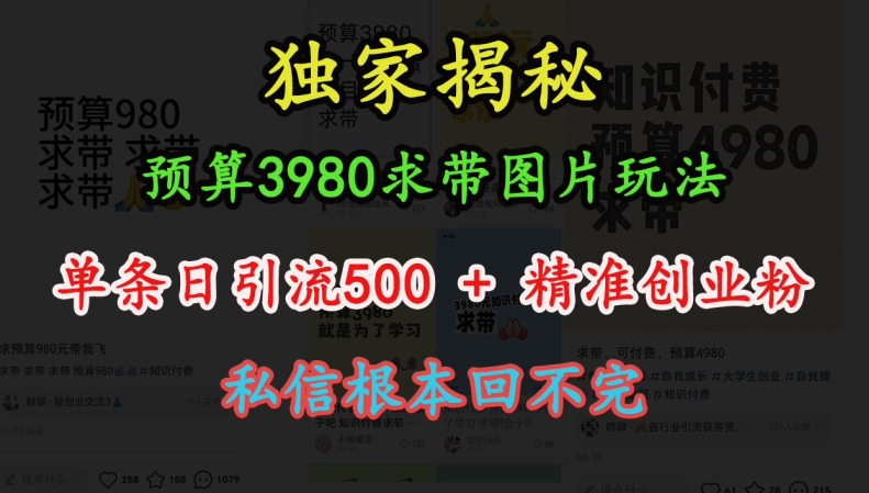 预算3980求带 图片玩法，单条日引流500+精准创业粉，私信根本回不完-创业项目网