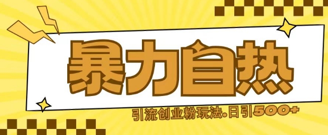 最新暴力自热引流玩法日引500+创业粉-创业项目网