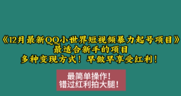 12月最新QQ小世界短视频暴力起号项目，最适合新手的项目，多种变现方式-创业项目网