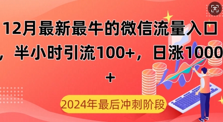 12月最新最牛的微信流量入口，半小时引流100+创业粉，日涨粉1000+-创业项目网