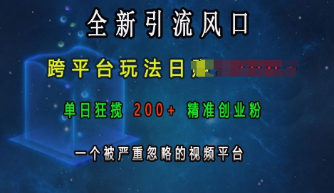 全新引流风口，跨平台玩法日入上k，单日狂揽200+精准创业粉，一个被严重忽略的视频平台-创业项目网