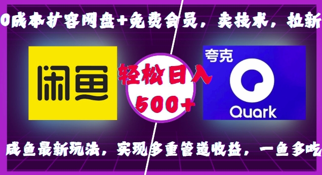 0成本扩容网盘+免费会员，卖技术，拉新，咸鱼最新玩法，实现多重管道收益，一鱼多吃，轻松日入500+-创业项目网