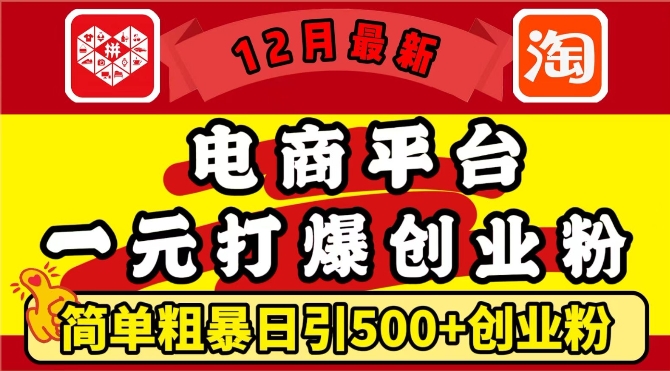 12月最新：电商平台1元打爆创业粉，简单粗暴日引500+精准创业粉，轻松月入过W-创业项目网