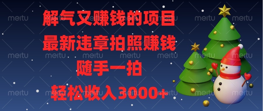 解气又赚钱的项目，最新违章拍照赚钱，随手一拍，轻松收入3000+-创业项目网