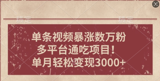 一条作品涨万粉，轻松上手，单月简单变现3000+-创业项目网