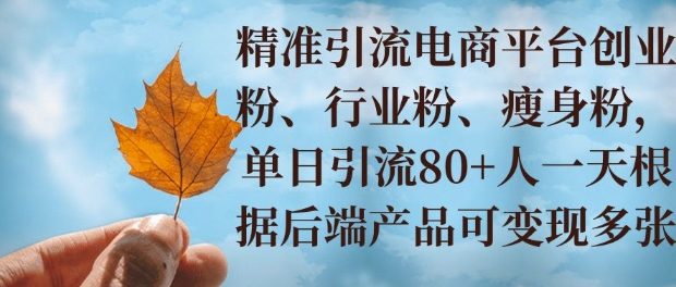 小投资撬动大收益，精准引流创业粉、行业粉，单日引流80+，一天可变现多张-创业项目网