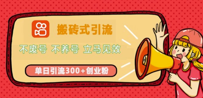 快手搬砖式引流，不废号，不养号，立马见效，单日引流300+精准创业粉-创业项目网