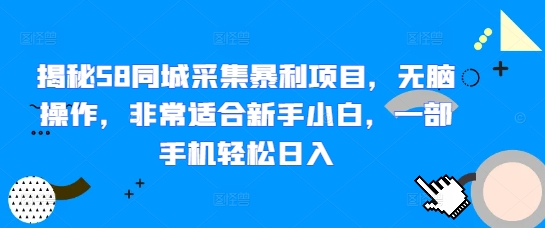 揭秘58同城采集暴利项目，无脑操作，非常适合新手小白，一部手机轻松日入-创业项目网