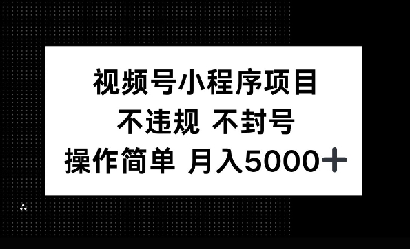 视频号小程序项目，不违规不封号，操作简单 月入5000+-创业项目网