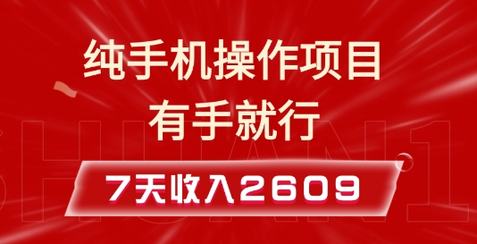 纯手机操作的小项目，有手就能做，7天收入2609+实操教程-创业项目网