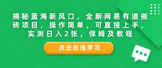 揭秘蓝海新风口，全新网易有道搬砖项目，操作简单，可直接上手，实测日入2张，保姆及教程-创业项目网