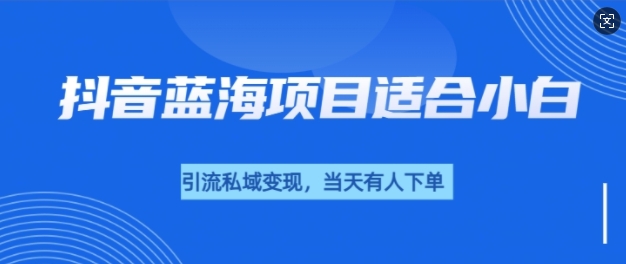 抖音蓝海小赛道私域变现项目，单价9.9单天变现100+，实操玩法分享给你-创业项目网