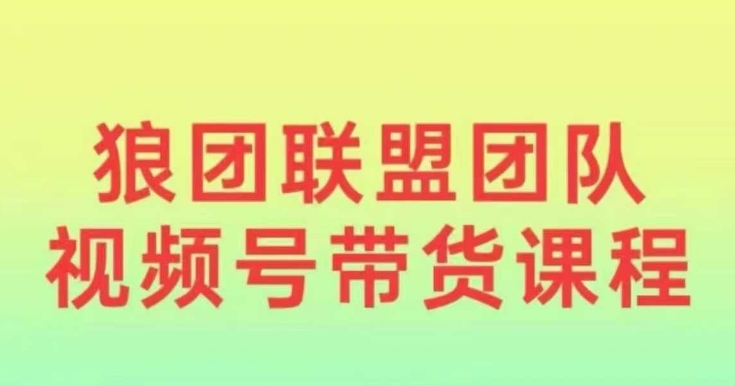 狼团联盟2024视频号带货，0基础小白快速入局视频号-创业项目网