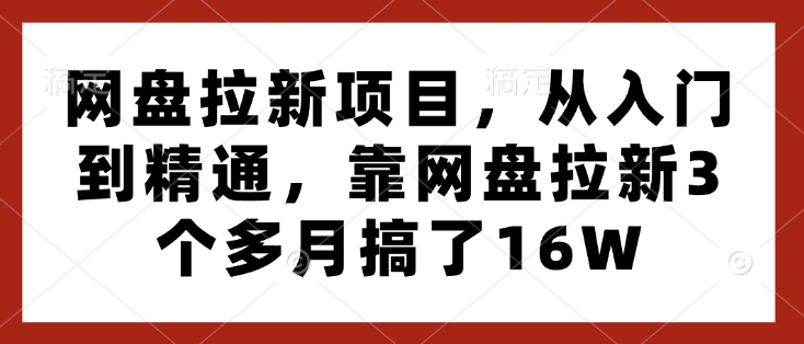 网盘拉新项目，从入门到精通，靠网盘拉新3个多月搞了16W-创业项目网