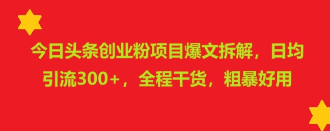 今日头条创业粉项目爆文拆解，日均引流300+，全程干货，粗暴好用-创业项目网