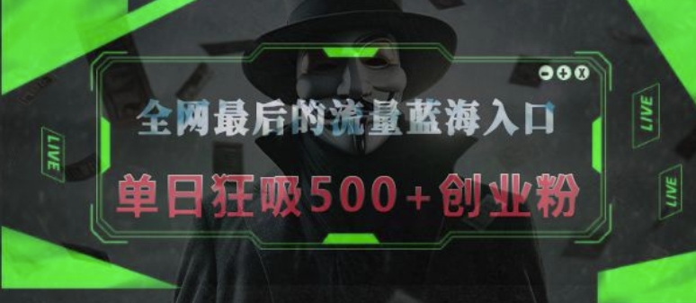 全网最后的流量蓝海入口，半小时引流50+创业粉，单日狂吸500+创业粉-创业项目网