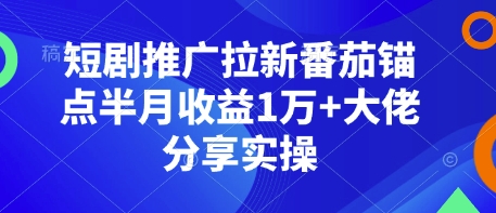 短剧推广拉新番茄锚点半月收益1万+大佬分享实操-创业项目网