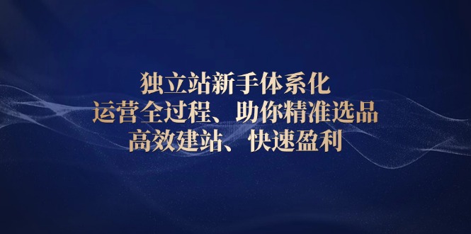 独立站新手体系化 运营全过程，助你精准选品、高效建站、快速盈利-创业项目网