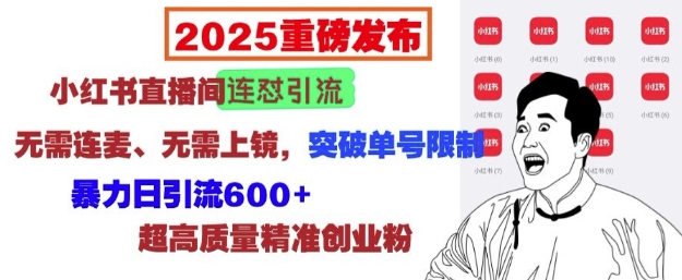 2025重磅发布：小红书直播间连怼引流，无需连麦、无需上镜，突破单号限制，暴力日引流600+-创业项目网