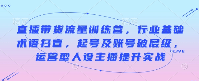 直播带货流量训练营，行业基础术语扫盲，起号及账号破层级，运营型人设主播提升实战-创业项目网