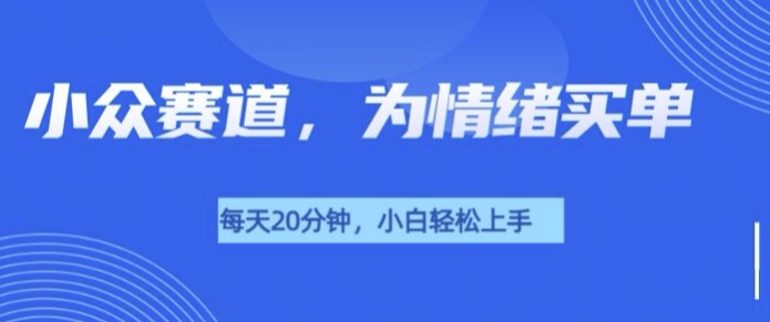 小众赛道，我的治愈系电子抱枕，让用户为情绪买单-创业项目网