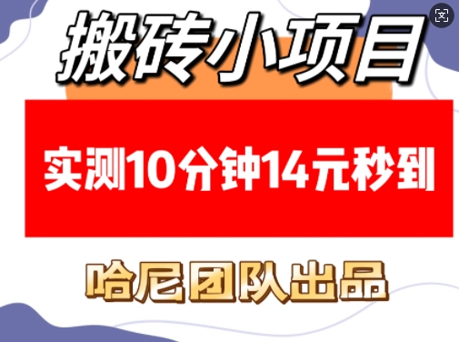 搬砖小项目，实测10分钟14元秒到，每天稳定几张(赠送必看稳定)-创业项目网