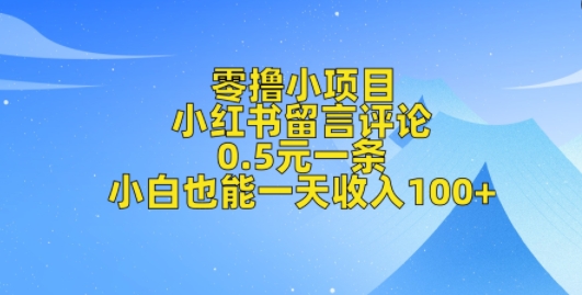 零撸小项目，小红书留言评论，0.5元一条，小白也能一天收入100+-创业项目网