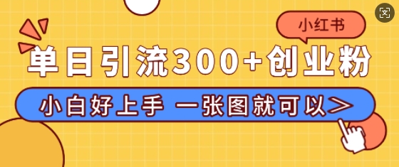 小红书单日引流300+创业粉，“简单粗暴”引流法，小白好上手，私信回不完-创业项目网