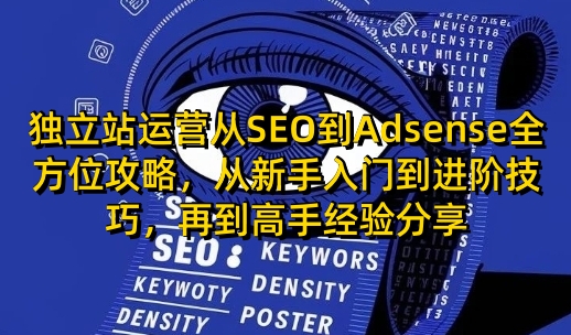 独立站运营从SEO到Adsense全方位攻略，从新手入门到进阶技巧，再到高手经验分享-创业项目网