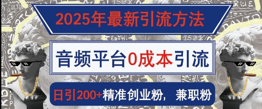 2025年最新引流方法，音频平台0成本引流，日引200+精准创业粉-创业项目网