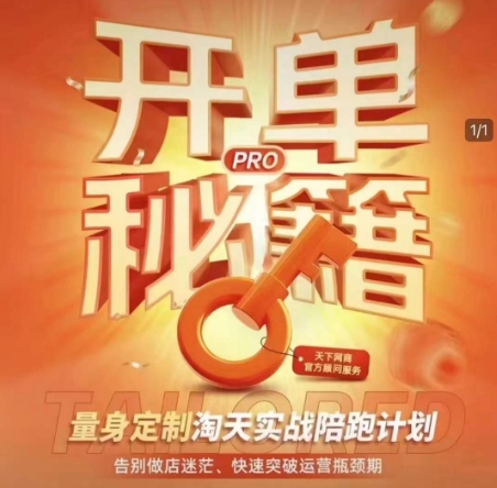 淘宝开单秘籍PRO，量身定制淘天实战陪跑计划，告别做店迷茫、快速突破运营瓶颈期-创业项目网