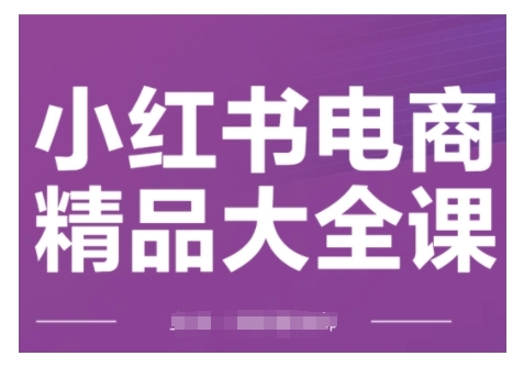 小红书电商精品大全课，快速掌握小红书运营技巧，实现精准引流与爆单目标，轻松玩转小红书电商-创业项目网