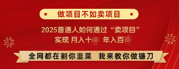 必看，做项目不如卖项目，2025普通人如何通过“卖项目”实现月入十个，年入百个-创业项目网