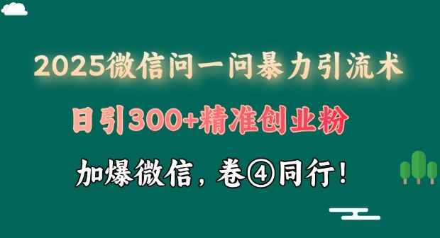 2025最新微信问一问暴力引流术揭秘，日引300+创业粉，单日变现四位数-创业项目网