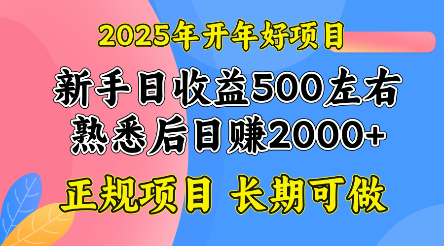 2025开年好项目，单号日收益2000左右-创业项目网