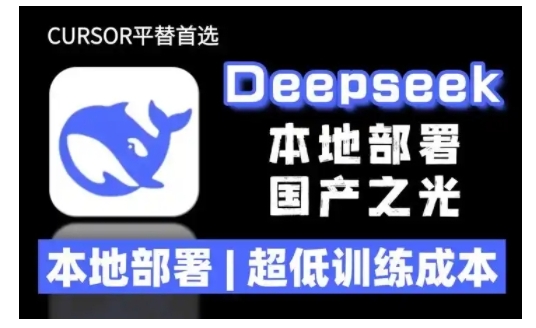 2025年deepseek R1 大型模型本地安装部署(文件+教程)本地部署，超低训练成本-创业项目网