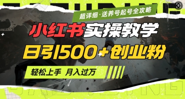 2月小红书最新日引500+创业粉实操教学【超详细】小白轻松上手，月入1W+，附小红书养号起号SOP-创业项目网