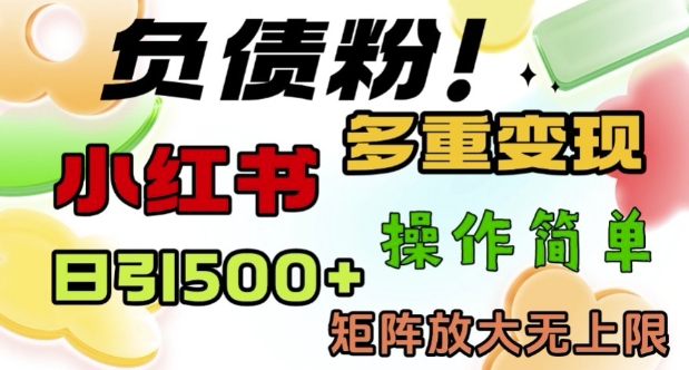 2月最新小红书日引500+负债粉，多重变现轻松过W，矩阵放大无上限-创业项目网