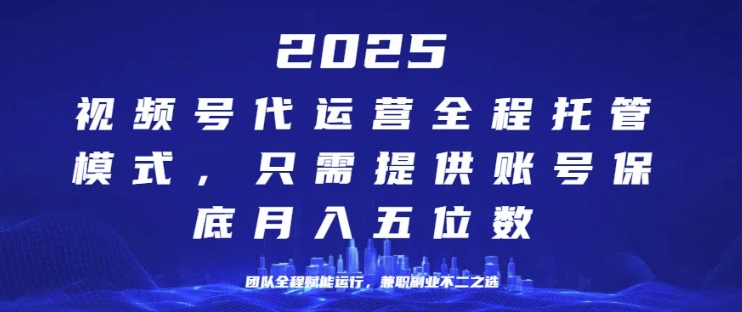 2025年视频号全程代运营模式，只需提供账号，团队全程赋能，稳定月入过万-创业项目网