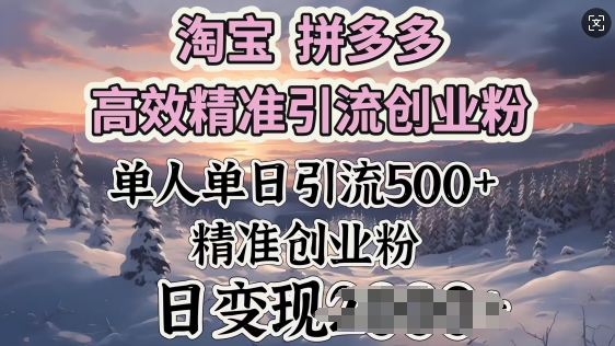 淘宝拼多多高效精准引流创业粉，单人单日引流500+创业粉，日变现多张-创业项目网