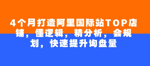 4个月打造阿里国际站TOP店铺，懂逻辑，精分析，会规划，快速提升询盘量-创业项目网