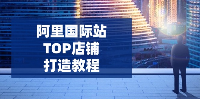 阿里国际站TOP店铺打造教程：涵盖平台到高阶，解决运营难题，提升询盘-创业项目网