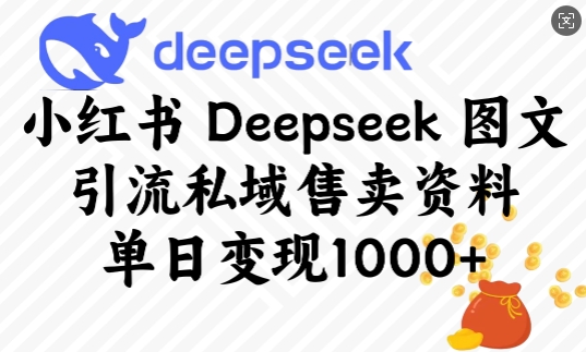 小红书Deepseek图文引流私域售卖资料，单日变现1000+-创业项目网